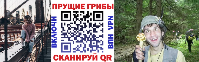 хочу наркоту  kraken ссылки  Псилоцибиновые грибы Magic Shrooms  Югорск 
